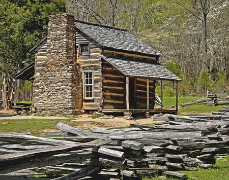  Pioneer Cabin