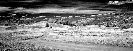 
Rugged Road in Yellowstone