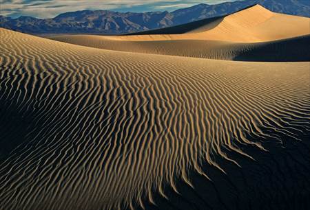 Patterns of Wind & Sand