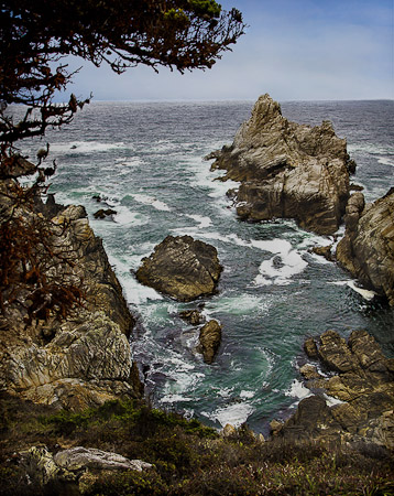 Point Lobos View