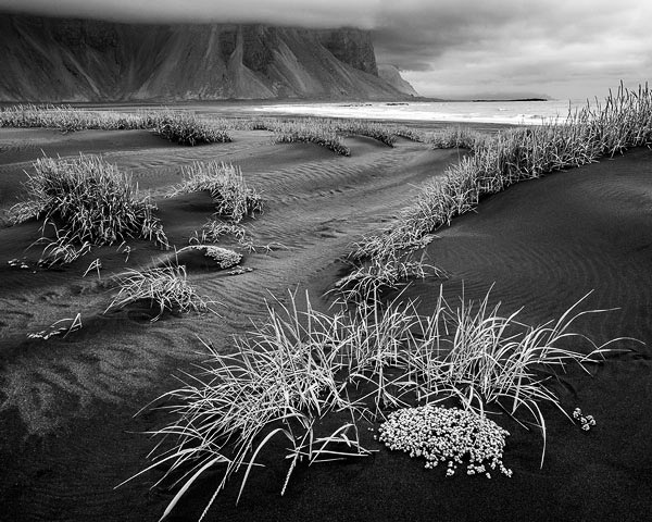 Black Sands of Iceland