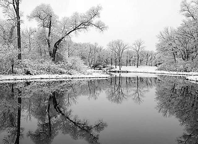 A Winter's Reflections