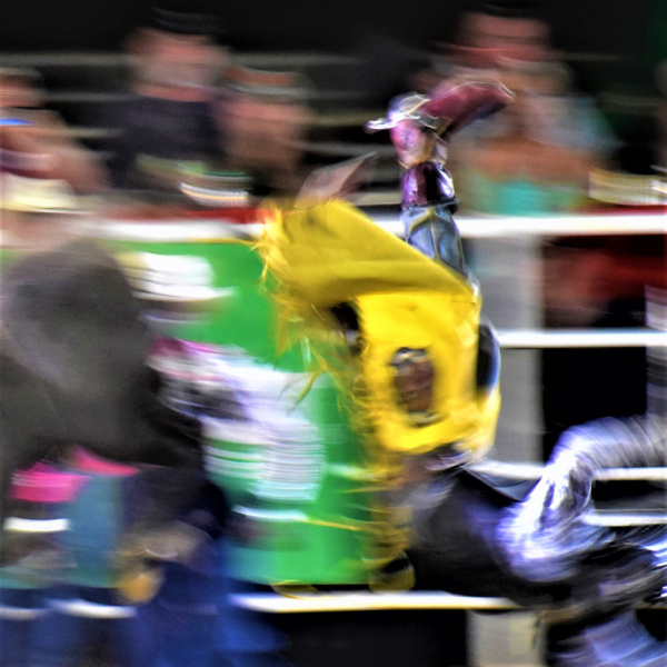 Bull-Riding-Result