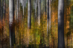 Boulder-Junction-2016-2420-Edit