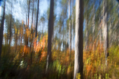 Boulder-Junction-2016-2441