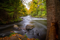Manitowish-Waters-Fall-2015-8991