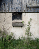 Royalty-Farm-0476