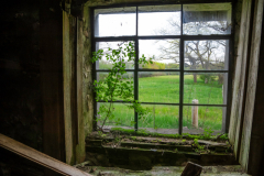 Royalty-Farm-0480