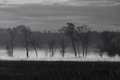 Spring-Creek-Nature-Preserve-1452