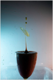 Waterdrop-Before