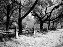 Mending Fences 
