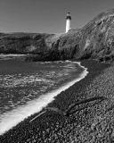 Down By the Sea 