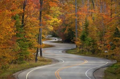 Curves Ahead 