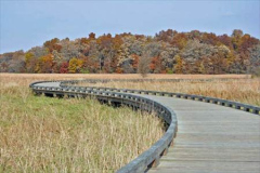 Cuba Marsh Boardwalk 