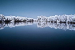 Crystal Blue Persuasion 