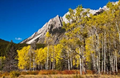 Fall_Colors2