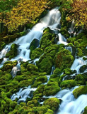 Jeff_Chemelewski_Mossy_Falls