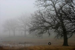 K_Holz_misty_morning