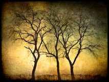 T_Baber_Unity_of_Three