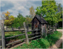tim_siems_outdoor_office