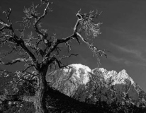 2011_Nov_13_012_edited_1