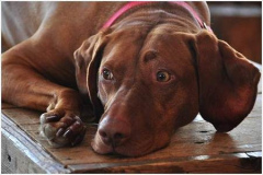 39_CPI_1_Bob_Arnold_Quiet_Time