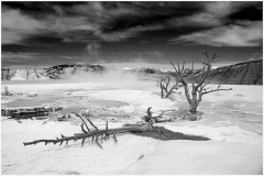39_CPI_2_Larry_Swanson_The_Dead_Zone