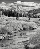 Fall_on_Gothic_Rd_Lyle_Anderson__Club_Aw___POM__CACCA_HM_