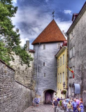 Tower_Tallinn_Estonia_Web_Site