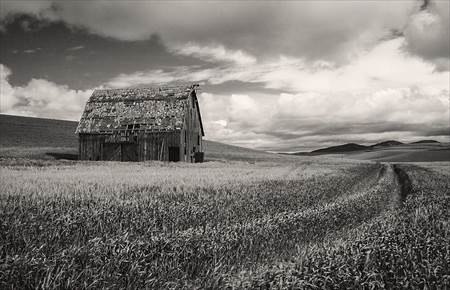 AW_Sm_Mono___Lyle_Anderson___Old_Barn_in_Wheat_Field