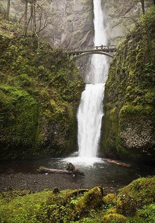 HM_Lg_Color___Lyle_Anderson___Multnomah_Falls