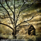 16_39_CPI_4_TeresaBaber_No_Trespassing