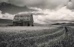 AW_Sm_Mono___Lyle_Anderson___Old_Barn_in_Wheat_Field