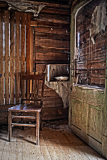 Teresa_Baber_Leave_the_Back_Door_Open