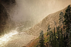 Teresa_Baber_The_Golden_Mist_of_Yellowstone
