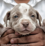Chuck_Rasmussen_New_Best_Friend