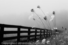Ernie_Hagenow_Laced_in_Fog