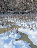 Jeff_Chemelewski_Winter_s_Beauty