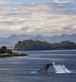 Lyle_Anderson_Just_Passin_By
