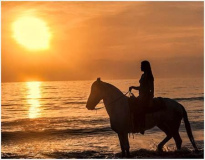 Morning_Ride_Norm_Kopp