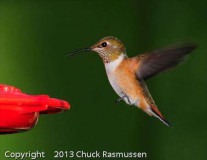 On_Final_Chuck_Rasmussen