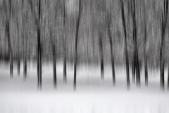 Teresa_Baber_Whispers_of_Winter