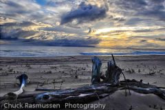 39_CPI_1_Chuck_Rasmussen_Beauty_and_the_Beach