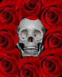HM_PeterPelke_Roses_Skull