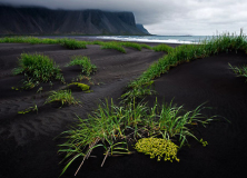 Jeff_Chemelewski_Black_Sand_Beach