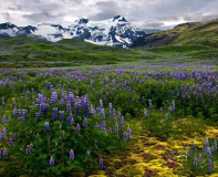 Jeff_Chemelewski_Field_of_My_Dreams