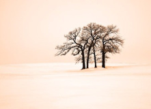 Jeff_Chemelewski_The_Art_of_Simplicity