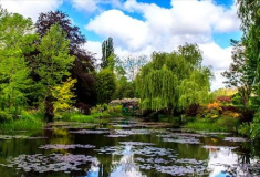 Jim_Petersen_Monet_s_Pond