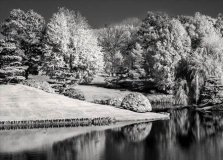 Lyle_Anderson_Botanic_Garden_in_Infrared