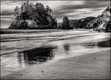 Lyle_Anderson_Luffenholtz_Beach_